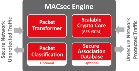 ip macsec show